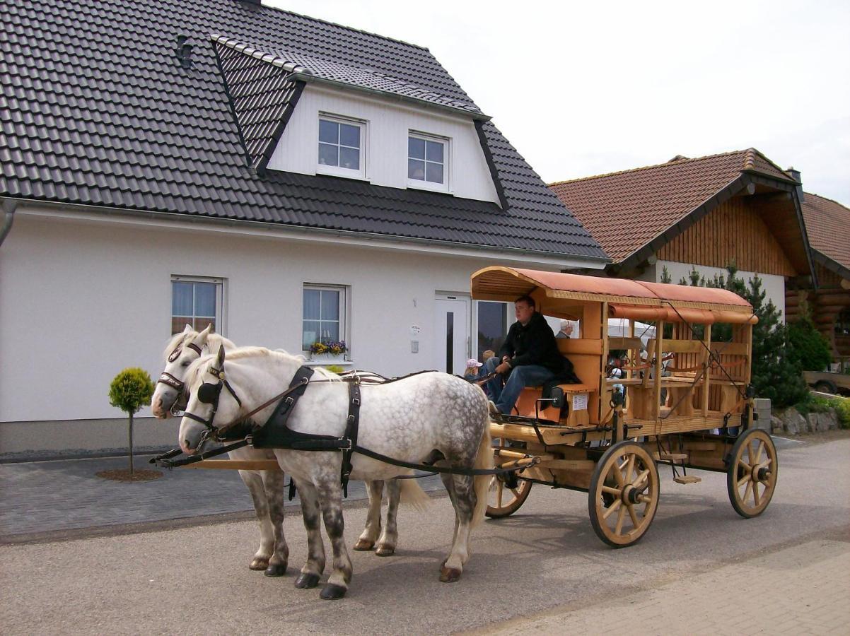 Bed and Breakfast Gästehaus „Haus am Hahnenberg“ Marmagen Exterior foto